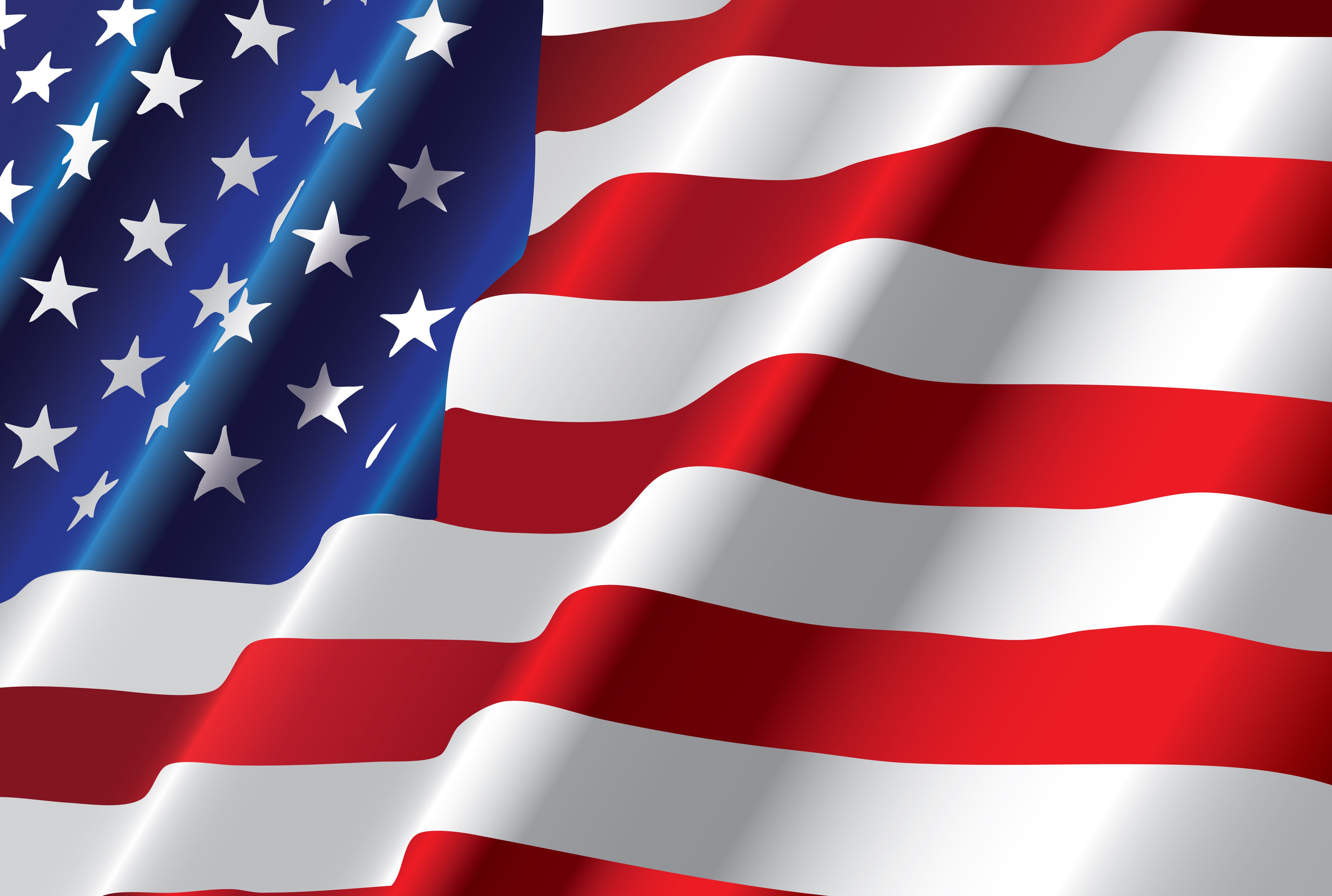 Image result for us flag